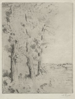 The Reader: The Lecture under the Trees, c. 1882. Creator: Alphonse Legros (French, 1837-1911).