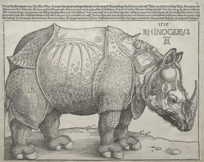 The Rhinoceros, 1515. Creator: Albrecht Dürer (German, 1471-1528).
