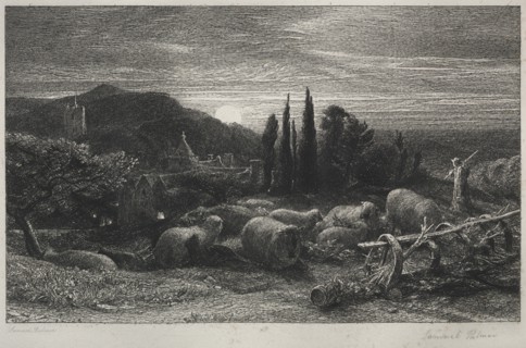 The Rising Moon. Creator: Samuel Palmer (British, 1805-1881).