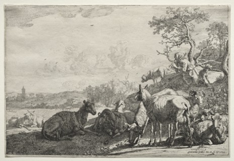 The Shepherd, 1644. Creator: Paulus Potter (Dutch, 1625-1654).