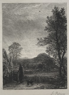 The Skylark, 1850. Creator: Samuel Palmer (British, 1805-1881).