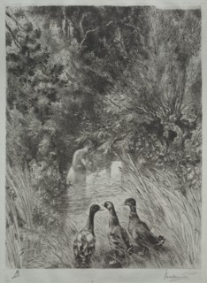 The Surprised Ducks. Creator: Félix Bracquemond (French, 1833-1914).