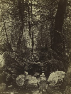The Trail in West Gallatin Cañon, c. 1870s. Creator: William Henry Jackson (American, 1843-1942).