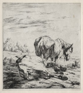 The Two Horses, 1850. Creator: Charles Meryon (French, 1821-1868).