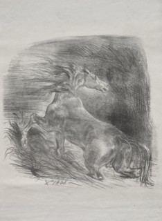The Wild Horse, or Frightened Horse Leaving the Water, 1828. Creator: Eugène Delacroix (French, 1798-1863).