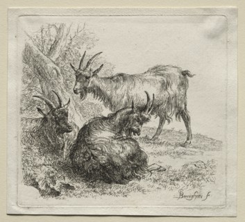 Three Goats. Creator: Nicolaes Berchem (Dutch, 1620-1683).