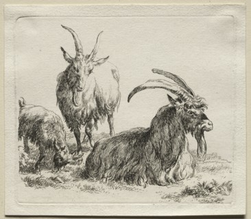 Three Goats. Creator: Nicolaes Berchem (Dutch, 1620-1683).