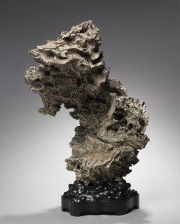 Tree Root, before 1800s. Creator: Unknown.
