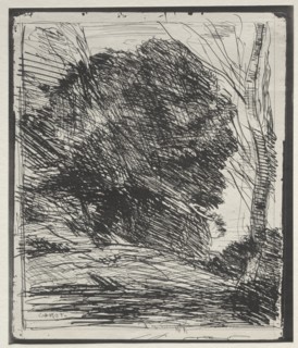 Trees on the Mountain, original impression 1856, printed in 1921. Creator: Jean Baptiste Camille Corot (French, 1796-1875).