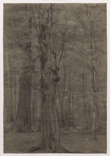 Trees. Creator: Leopold Bode (German, 1831-1906).