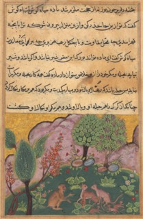 Tuti-Nama (Tales of a Parrot): Tale XXIX, c. 1560. Creator: Unknown.