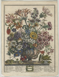 Twelve Months of Flowers: October, 1730. Creator: Henry Fletcher (British, active 1715-38).