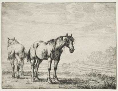 Two plough horses. Creator: Dirck Stoop (Dutch, c. 1618-1681).