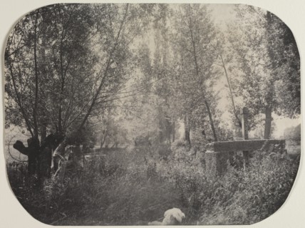 Untitled (Landscape with Dog), c. 1910. Creator: Unidentified Photographer.