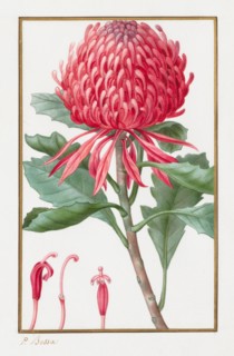 Untitled, 1828-1835. Creator: Pancrace Bessa (French, 1772-1846).