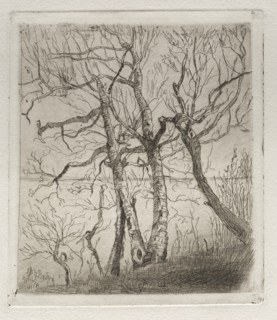 Woods by the Lake, 1878. Creator: Otto H. Bacher (American, 1856-1909).