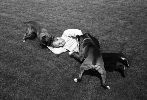 John Surtees playing with his pet dogs at home 1966. Creator: Unknown.