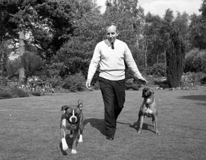 John Surtees playing with his pet dogs at home 1966. Creator: Unknown.