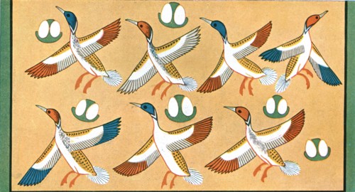 Detail of ceiling painting in the tomb of 'Aichesi', Thebes, Egypt, (1928). Creator: Unknown.