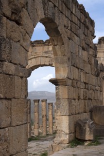 Algeria, Djemila, Cardo view