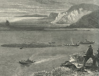 'Pilchard Fishing off the Lizard', c1870.