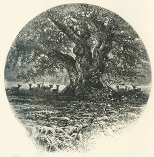 'The "King of the Border".', c1870.