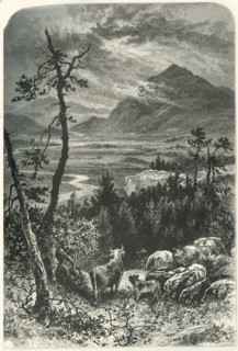 'Craig-Dhu: From Above Kinguissie', c1870.