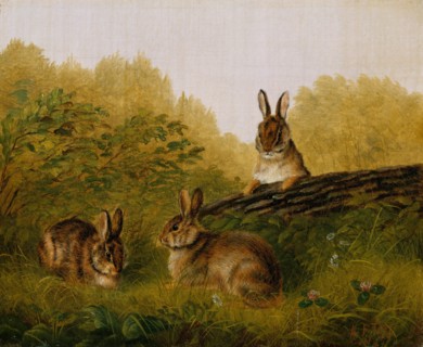 Rabbits on a Log, 1897. Creator: Arthur Fitzwilliam Tait.