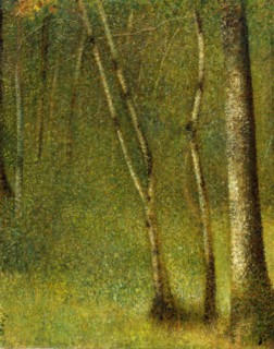 The Forest at Pontaubert, 1881. Creator: Georges-Pierre Seurat.