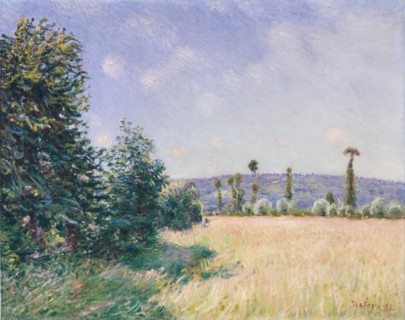 Sahurs Meadows in Morning Sun, 1894. Creator: Alfred Sisley.