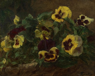 Pansies, 1903. Creator: Henri Fantin-Latour.