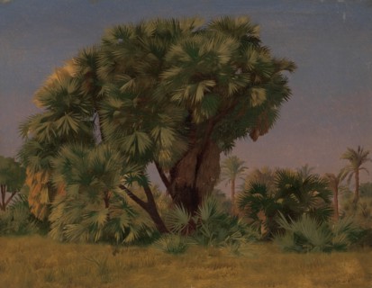 Study of Palm Trees, probably 1868. Creator: Jean-Leon Gerome.