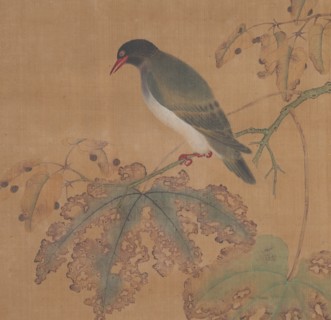 Bird on Branch. Creator: Unknown.
