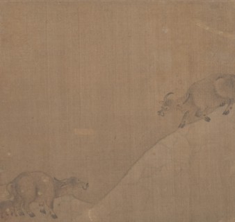 Water Buffaloes. Creator: Unknown.
