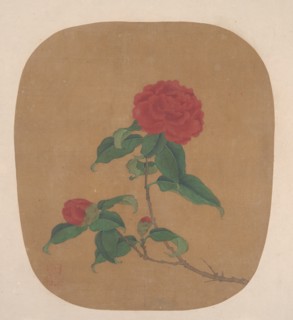 Camellia Flowers. Creator: Unknown.