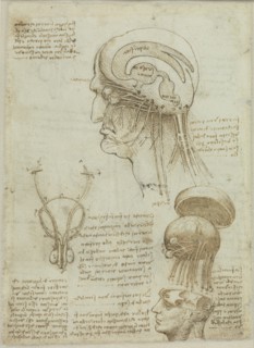 A manuscrit sheet with anatomical drawings and notes, 1506-1508. Creator: Leonardo da Vinci (1452-1519).