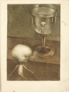 Observations sur l'histoire naturelle, sur la physique et sur la peinture, 1752. Creator: Gautier d'Agoty, Jacques Fabien (1716-1785).