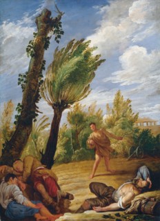 The Parable of the Wheat and the Tares, 1620s. Creator: Fetti, Domenico (1588/90-1623).