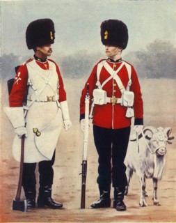 'The Royal Welsh Fusiliers', 1901. Creator: Gregory & Co.