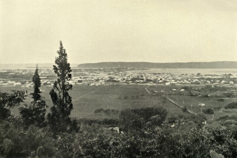 'Durban, Natal', 1901. Creator: Wilson.