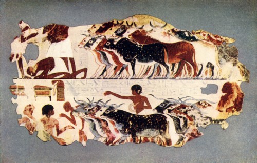 'Scene representing the driving of a large herd of cattle on an Egyptian farm', c1350 BC, (1915.) Creator: Unknown.
