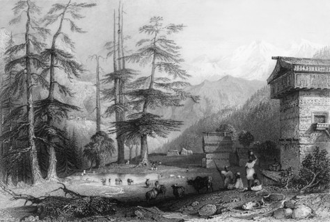 'Village of Koghera and Deodar Forest, near the Choor', 1838. Creator: George Francis White.