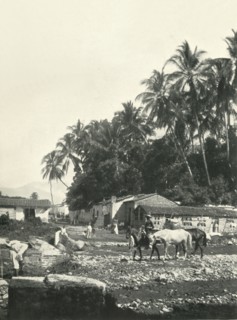 'Typical Village of the Pacific Coast Zone: State of Colima', 1919. Creator: Unknown.
