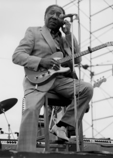 Muddy Waters, Capital Radio Jazz Festival, London, 1979. Creator: Brian Foskett.