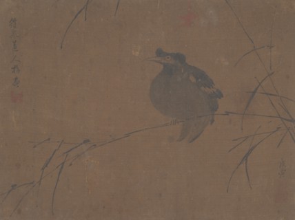 Mynah on Reed. Creator: Attributed to Fulan Taorên.