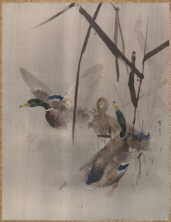 Ducks in the Rushes, ca. 1887. Creator: Watanabe Seitei.
