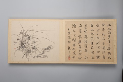 Refined Elegance in the Four Seasons (Shiji seiga), Album of Flower Paintings, 1844. Creator: Yamamoto Baiitsu.