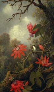 Hummingbird and Passionflowers, ca. 1875-85. Creator: Martin Johnson Heade.