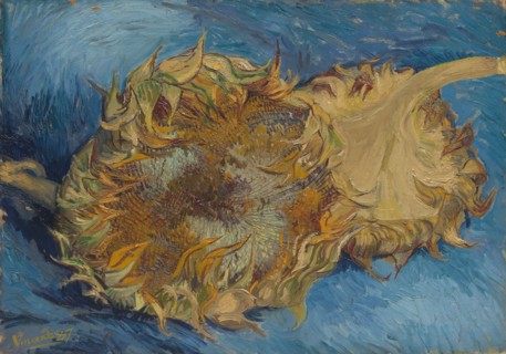Sunflowers, 1887. Creator: Vincent van Gogh.