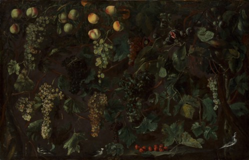 Grape Vines and Fruit, with Three Wagtails, ca. 1615-18. Creator: Bartolomeo Cavarozzi.